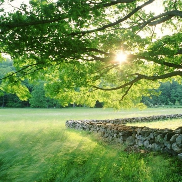 Meet your Posher, Nancy - Picture 1 of 1